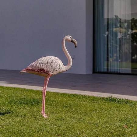 Don Carlos Sea View - Adults Only ! Playa de las Americas (Tenerife)